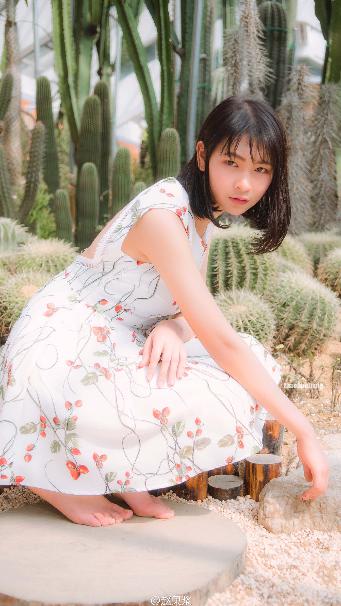 最好看免费观看高清影视大全