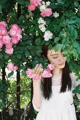 三年中国片在线高清观看