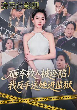 砸车救人被诬陷，我反手送她进监狱