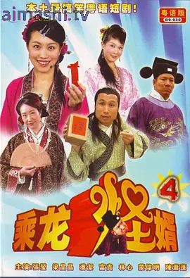 乘龙怪婿第四季
