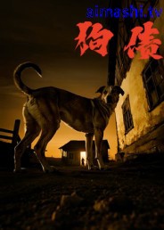 狗债